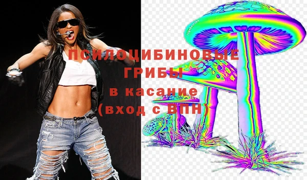 ECSTASY Михайлов