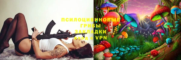 герыч Алексин